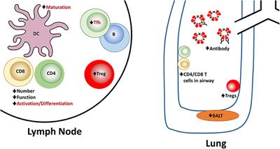 Challenges for the Newborn Following Influenza Virus Infection and Prospects for an Effective Vaccine